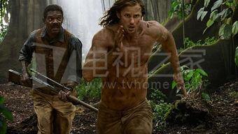 国产大片黄,国产大片中的璀璨明珠